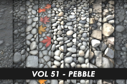 Realistic Textures - Vol 51 - Pebble
