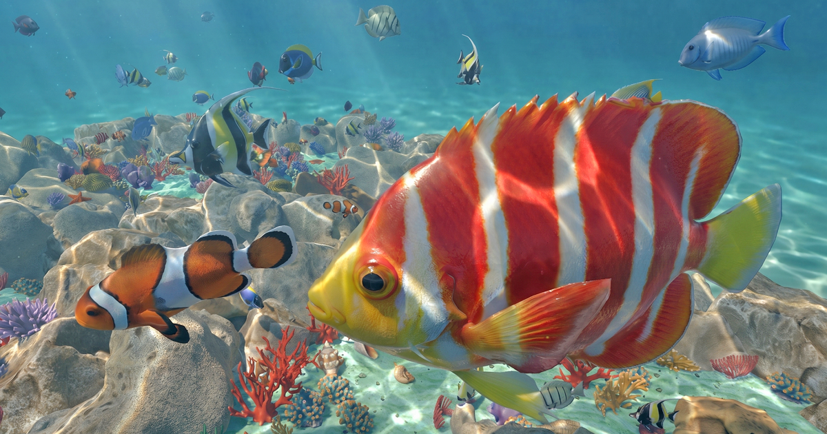 Corals and fish - underwater reef | Characters | Unity Asset Store