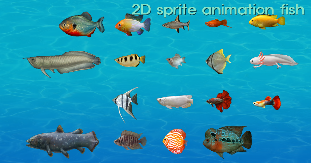 2D Sprite animation Fish | 2D Characters | Unity Asset Store