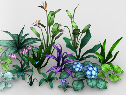 Stylish Plants