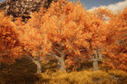 HDRP Tree Pack #2
