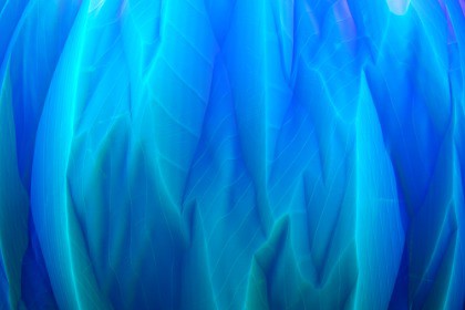 Crystal Texture & Material Vol. 04
