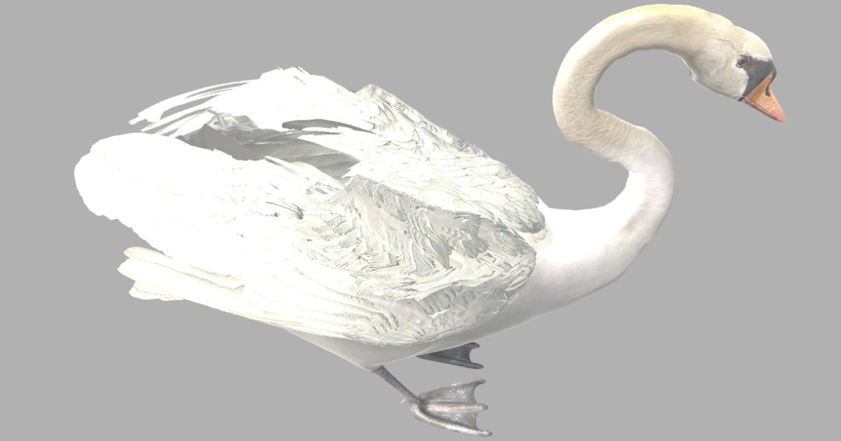 Unity Swans Swan | 角色 | Unity Asset Store