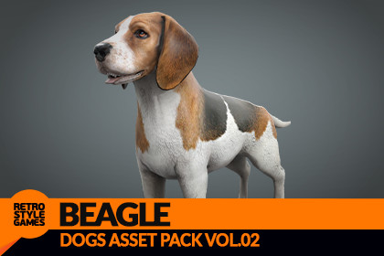 Beagle 3D Model