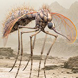 Mosquito Queen - Fantasy Cave Mosquito Boss Creature