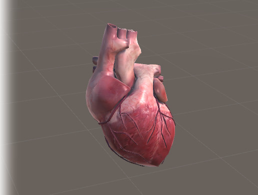 Animated Heart | 3D Characters | Unity Asset Store