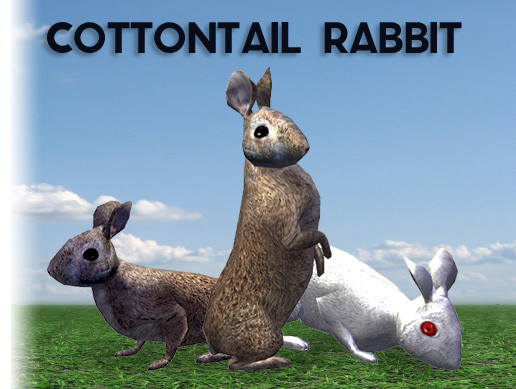 Wild Rabbit | 角色 | Unity Asset Store