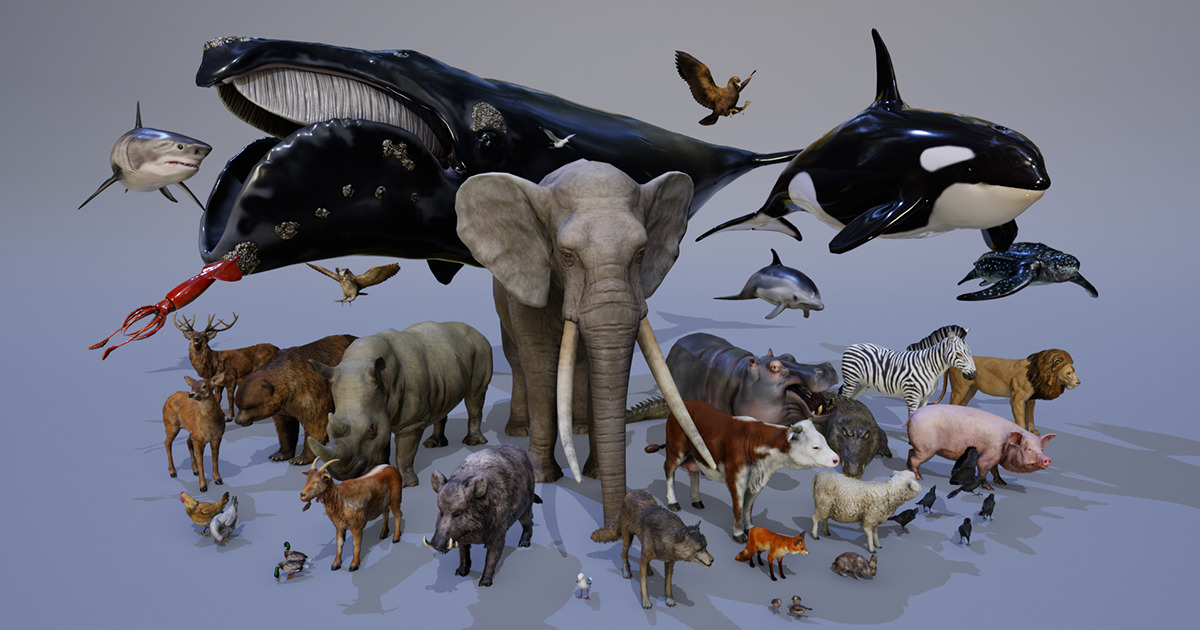 Unity Animals Asset ANIMALS FULL PACK | 3D Animals | Unity Asset Store