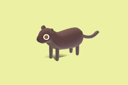 Fossa - Quirky Series