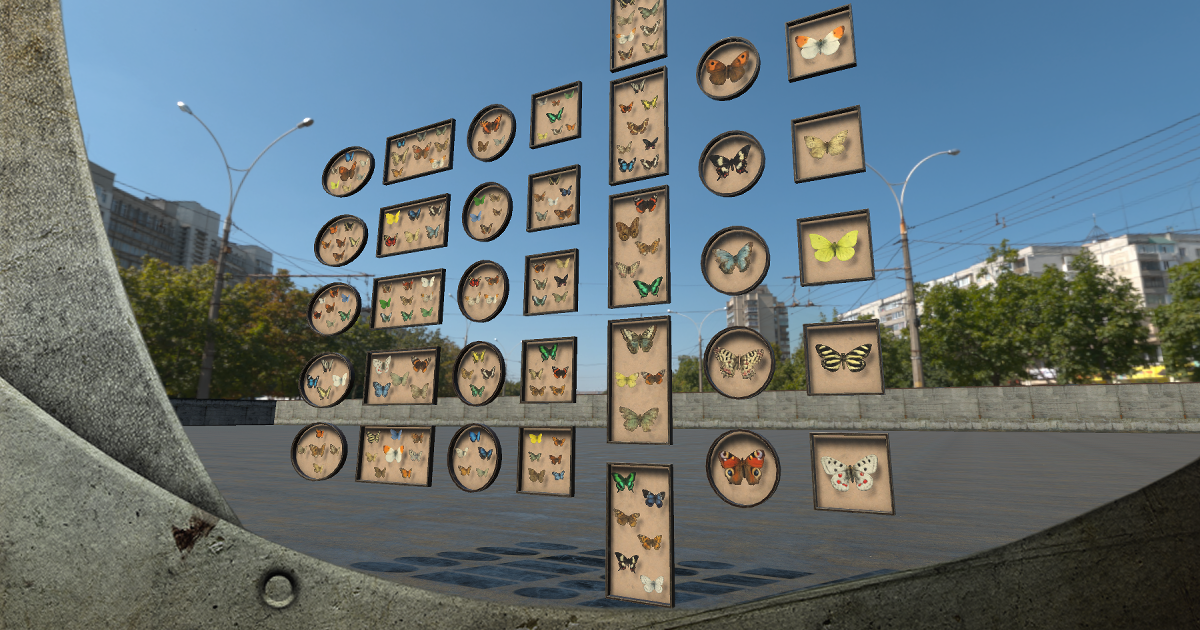 Displays Butterflies HQ | 3D Props | Unity Asset Store