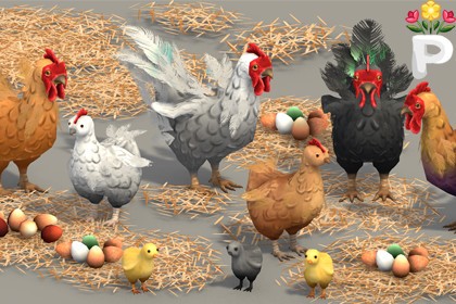 Stylized Hand-Painted Chickens