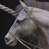 White Unicorn