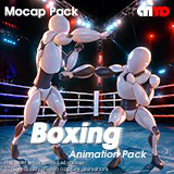 Boxing animation package