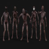PACK - Hybrid Collection