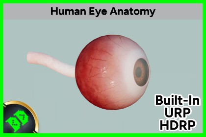 Human Eye Anatomy