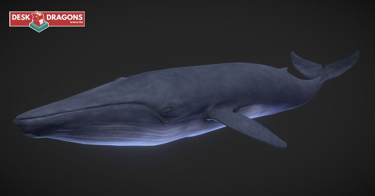 Unity Whale · Blue Whale · | Characters | Unity Asset Store