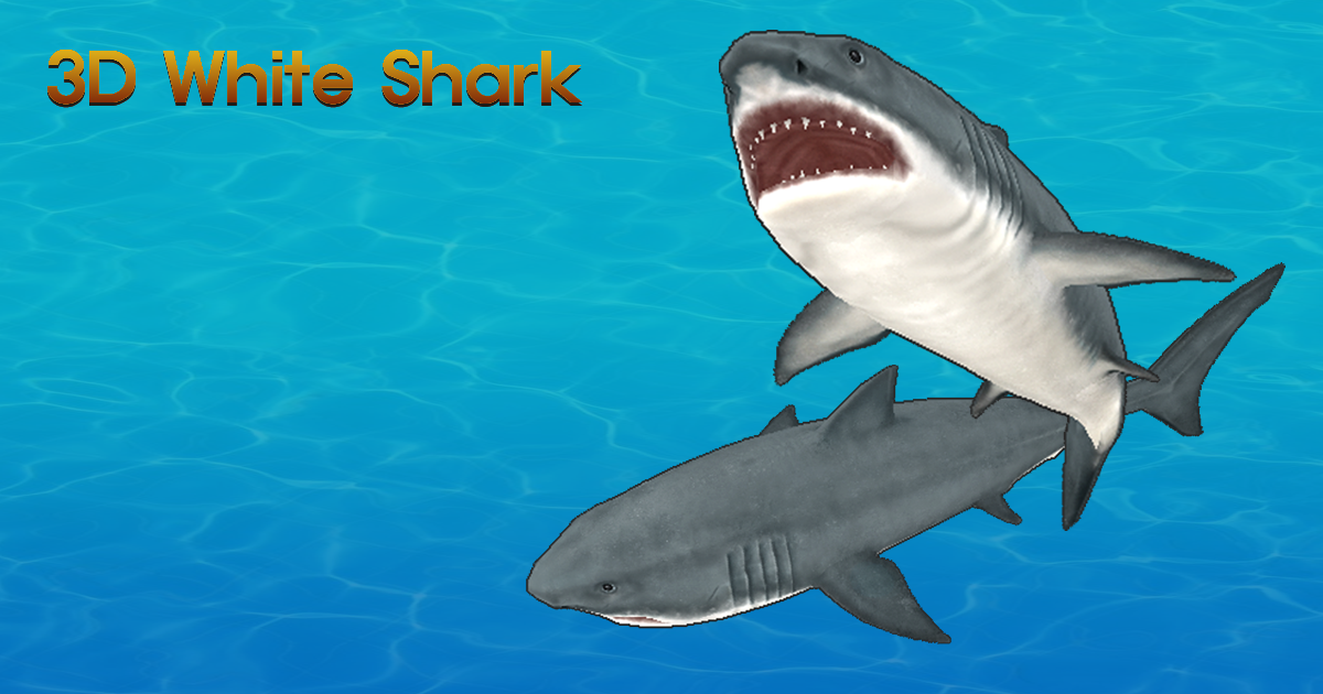 3D White Shark | Characters | Unity Asset Store