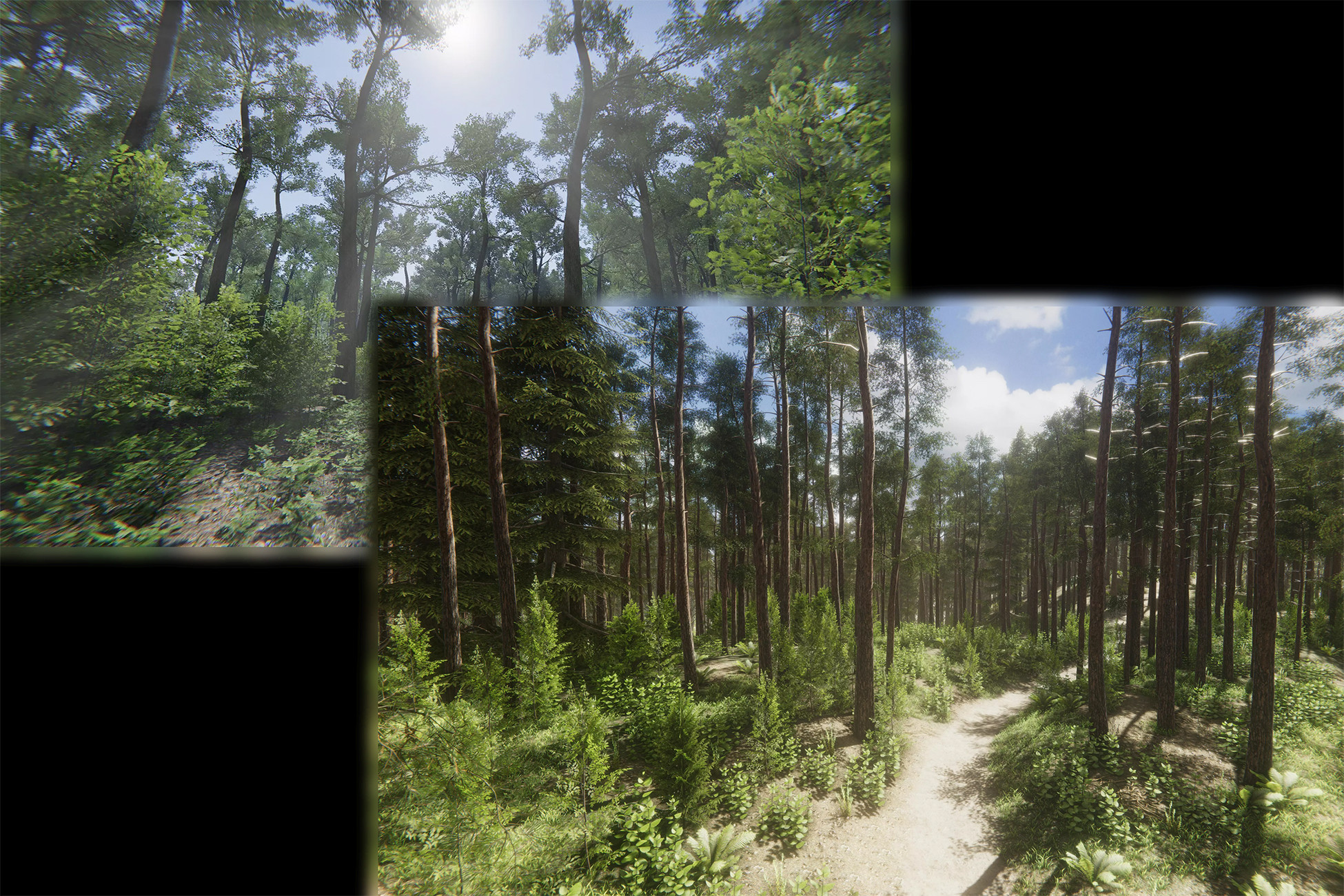 EnvironmentVegetation - Bundle 6 | 3D Vegetation | Unity Asset Store