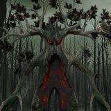 Oak Tree — Ent Collection