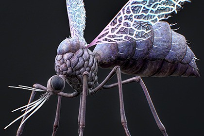 Mosquito Defender - Fantasy Magic Mosquitoes