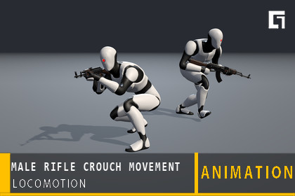 Crouch Rifle Animation