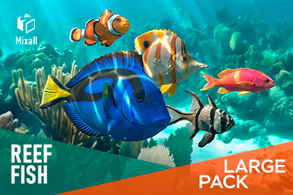 Reef fish - large pack