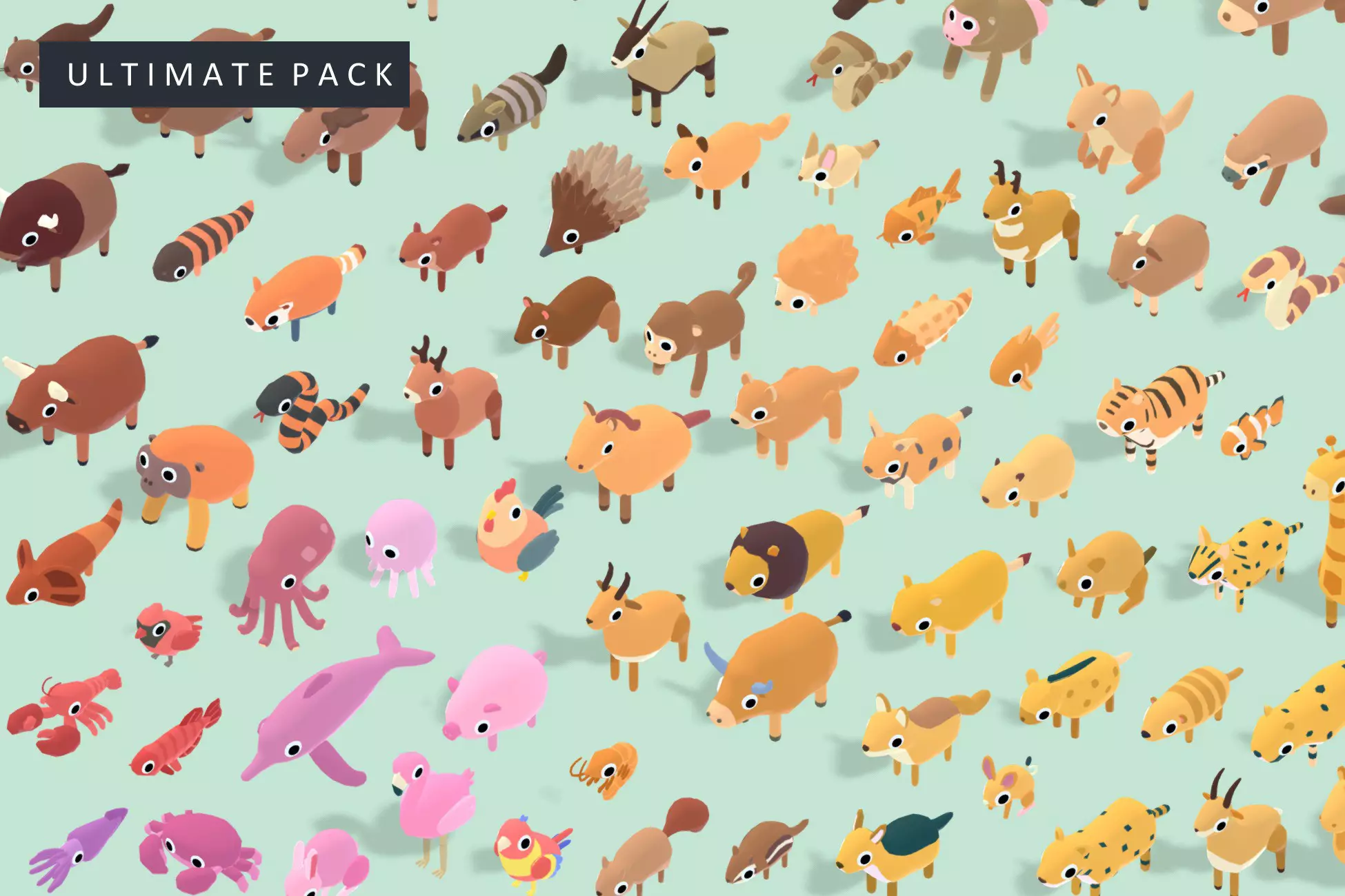 Quirky Series ULTIMATE Pack