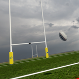 Rugby Pitch