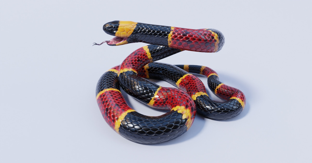 Basic Unity Snake Color Eastern Coral Snake | Characters | Unity Asset Store