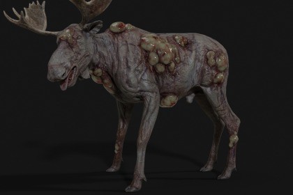 Rot Moose