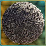 Abstract Alien Wood Textures - Vol 1