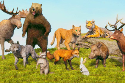 Realistic Forest Set