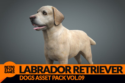Labrador Retriever 3D Model