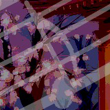 Blossom Music Pack