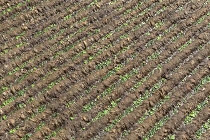 Farm Terrain Textures Pack 3
