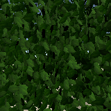 Procedural Hedge