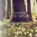 Sounds From Nature
