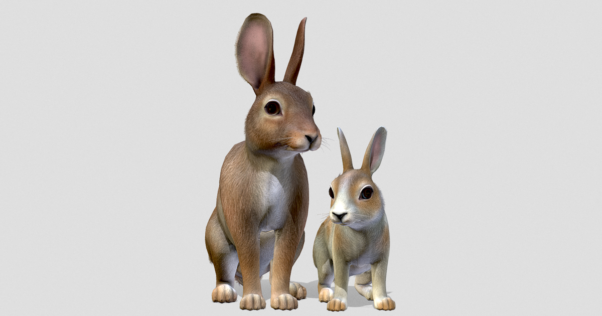 Rabbit Family | Characters | Unity Asset Store