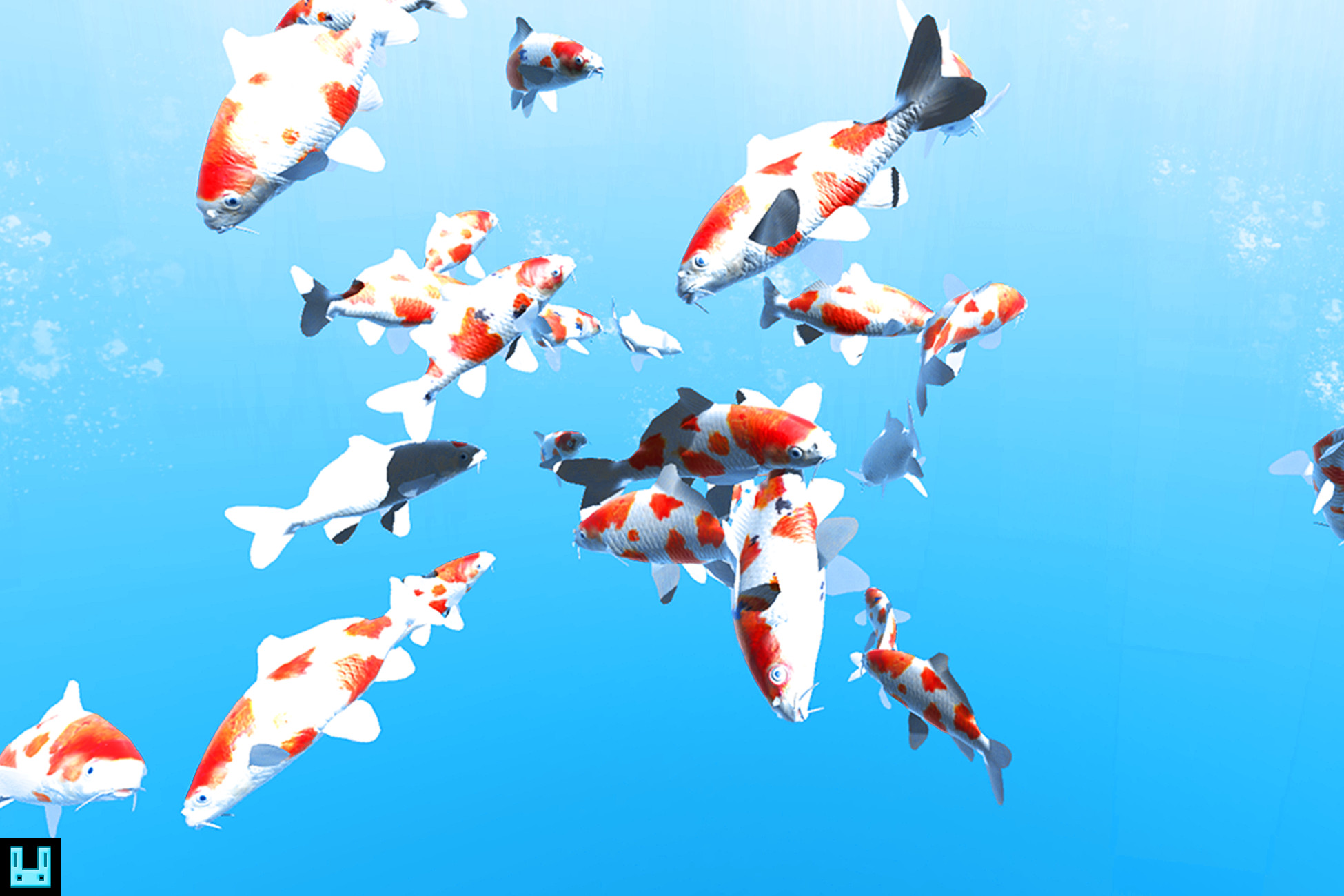 Fish School Koi | Characters | Unity Asset Store