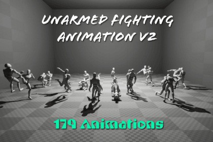 Unarmed Fighting Animation V2