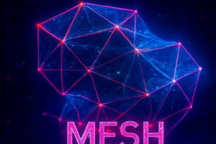 Mesh Compressior