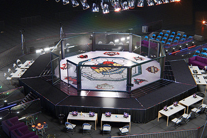 MMA Arena Stage Venue - Modular Environment Octagon Cage Fight 3D model