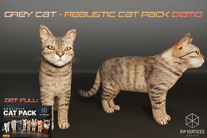 Grey Cat - Realistic Cat Pack Demo