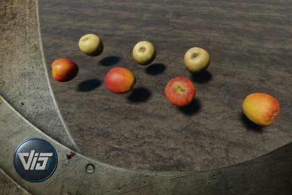 Scanned Apples