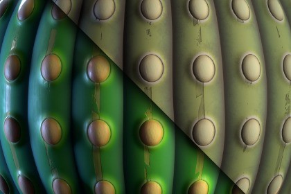 Cactus (Stylized) Texture & Material Vol. 01
