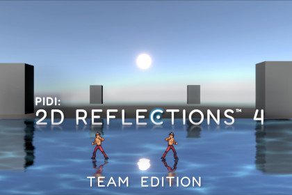 PIDI - 2D Reflections 4: Team Edition
