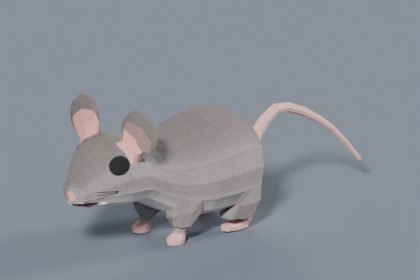 3D Mouse - Low Poly Rigged & Animated Rodent