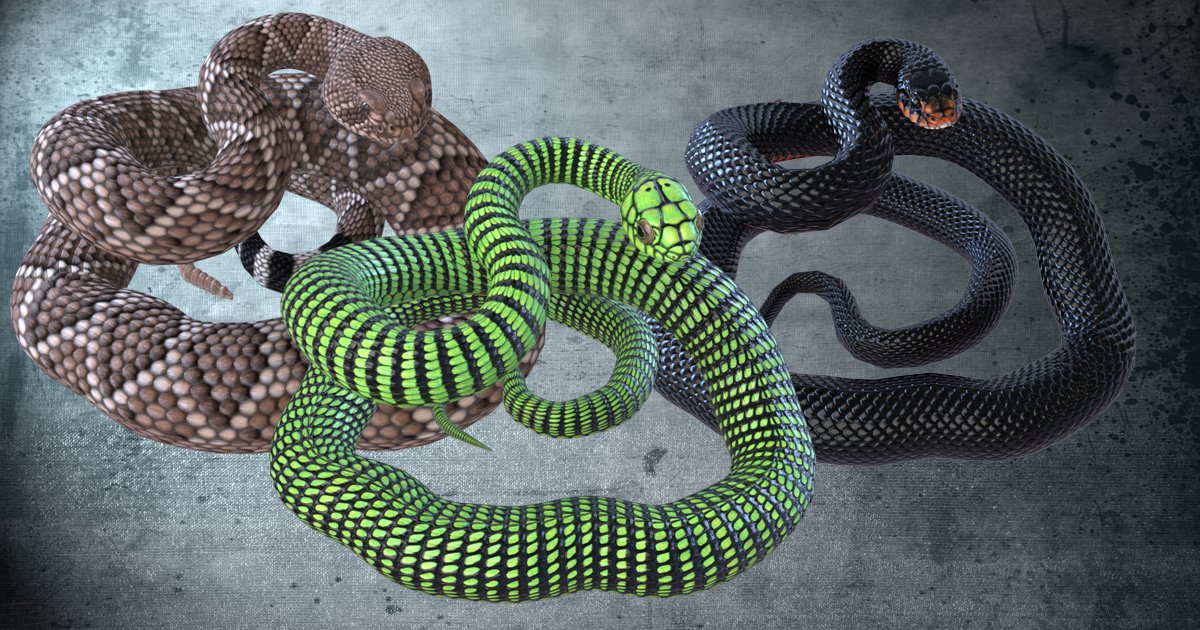 Unity Store Snake Animated Snakes PBR Volume 3 | Characters | Unity Asset Store