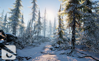 Winter Environment - Nature Pack