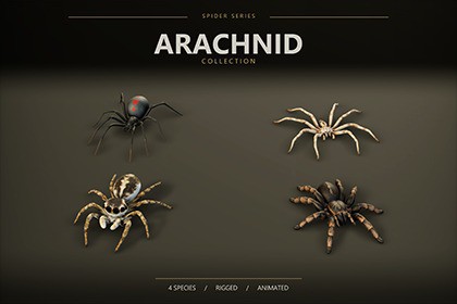 Arachnid Collection — 4 Animated Spiders